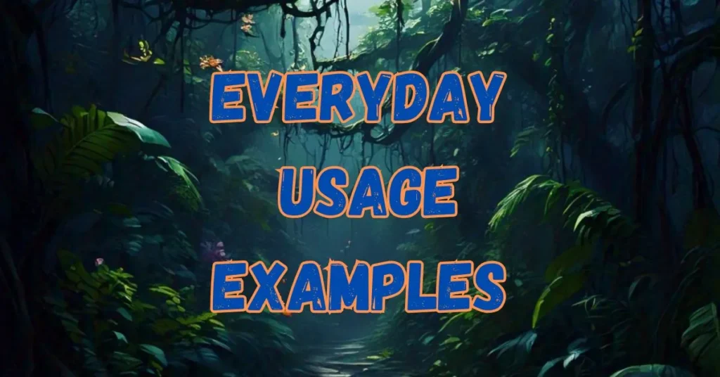 everyday-usage-examples