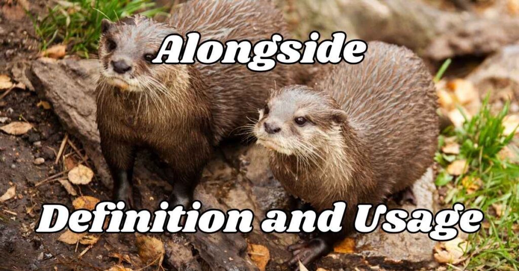 Alongside Definition and Usage