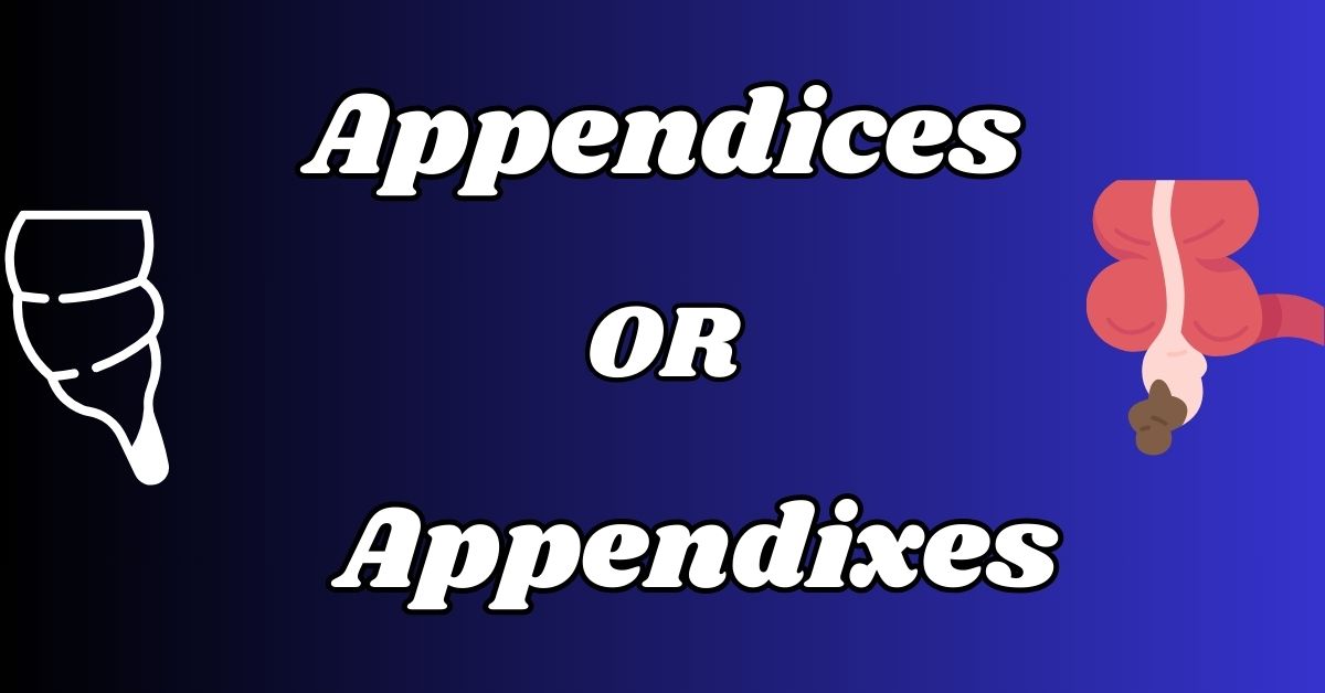 Appendices or Appendixes