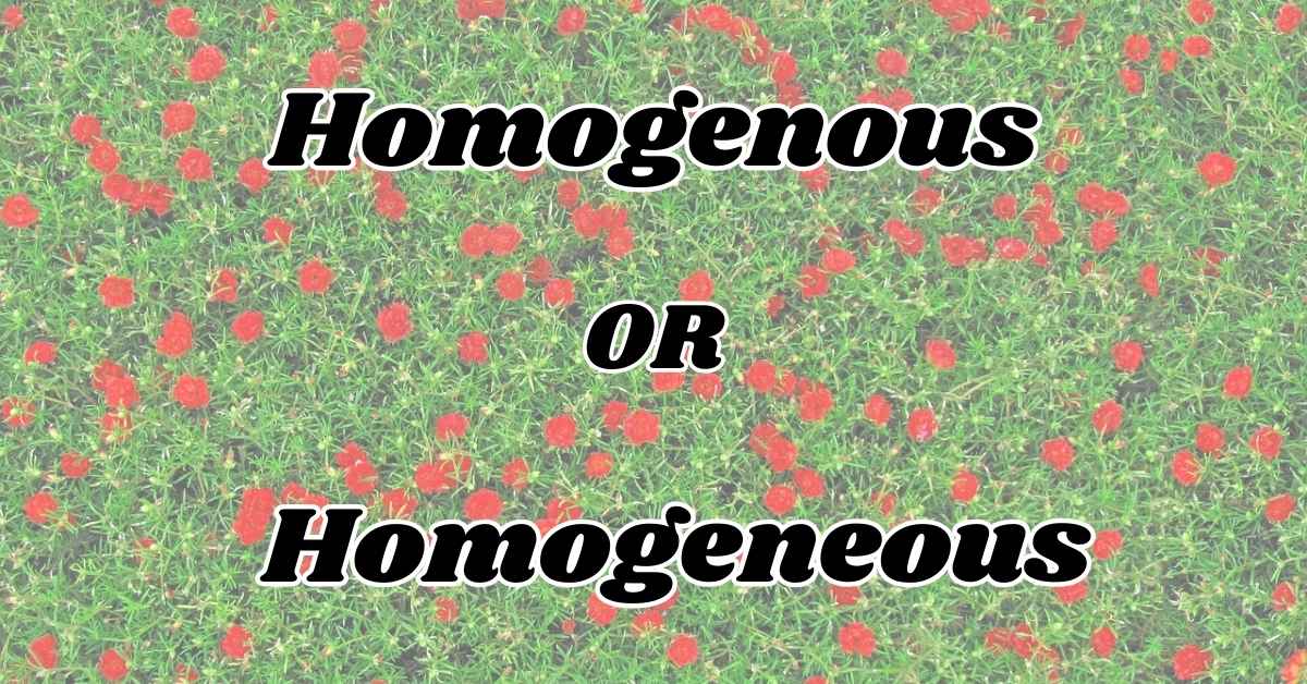 Homogenous or Homogeneous