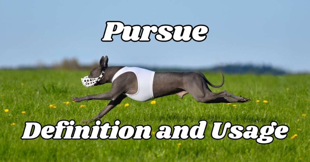 Pursue Definition and Usage