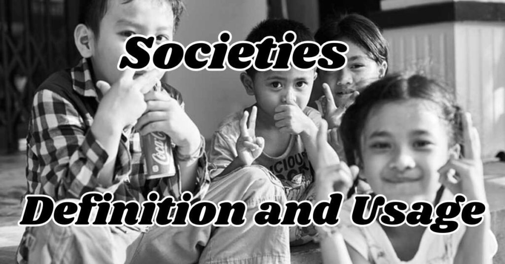 Societies Definition and Usage