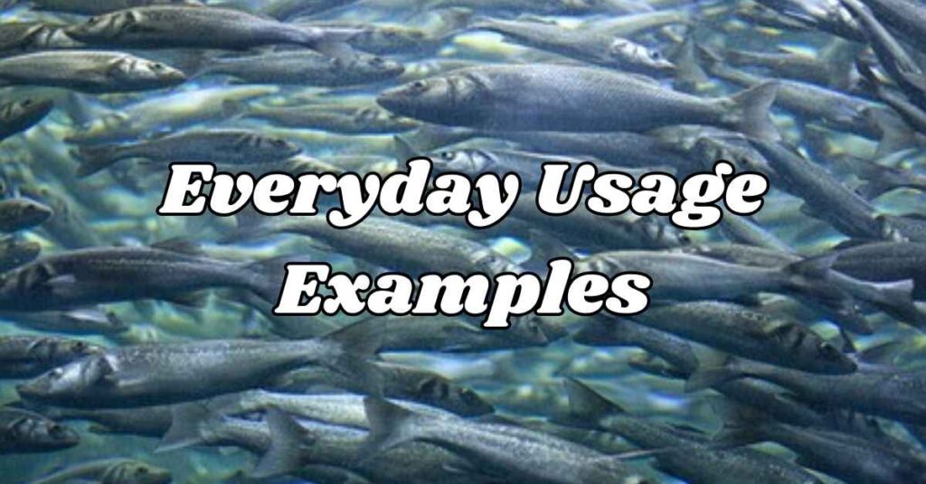 everyday-usage-examples 