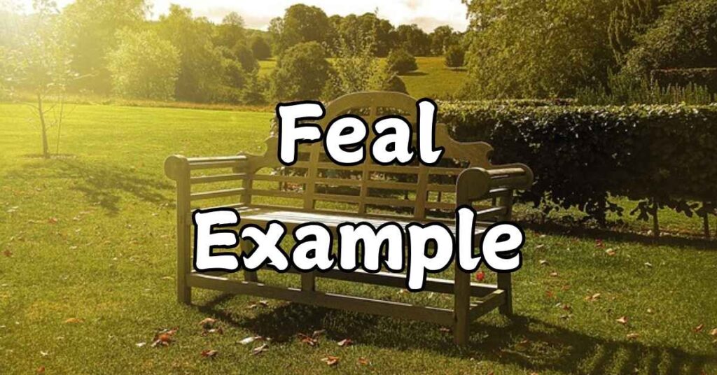 feal-example