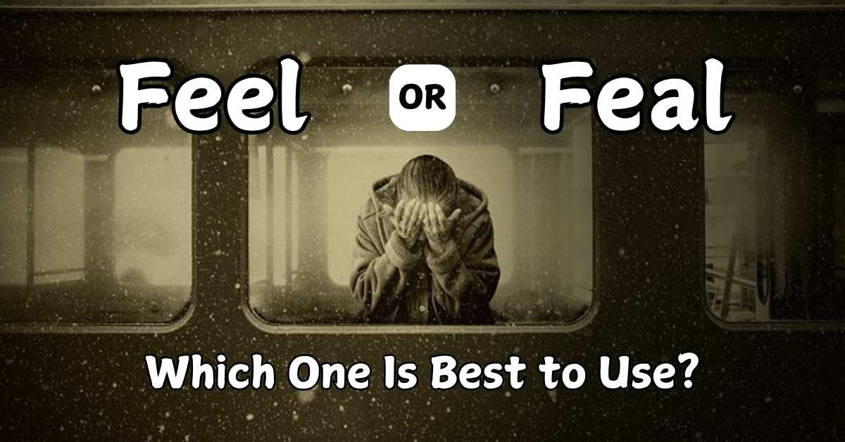 feel-or-feal