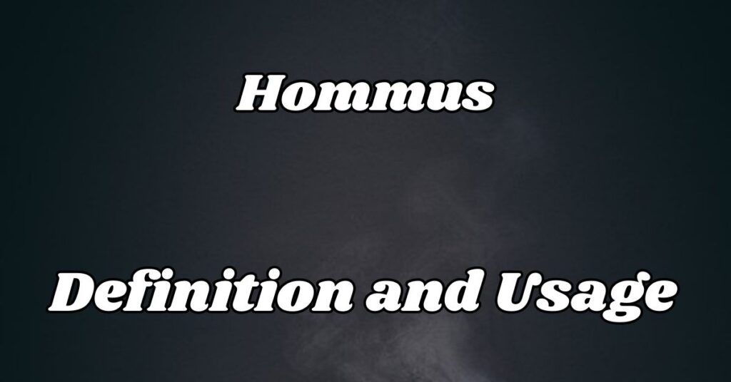 hommus-definition-and-usage 