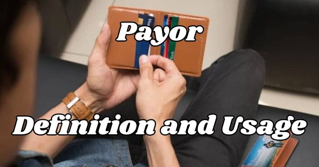 Payor: Definition and Usage