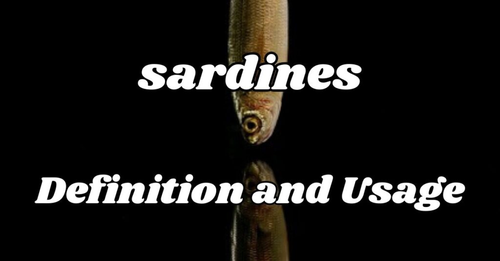 sardines-definition-and-usage