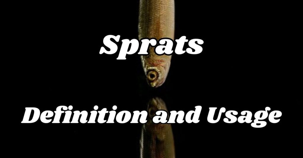 sprats-definition-and-usage