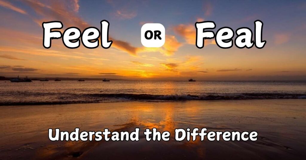 understanding-feel-or-feal