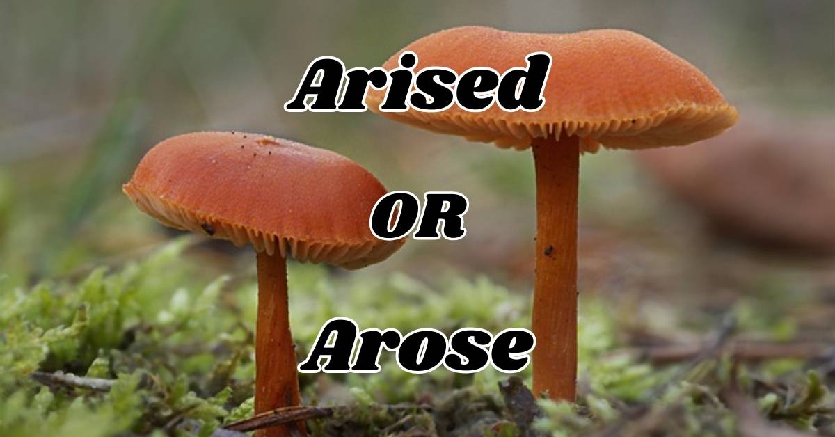 Arised or Arose