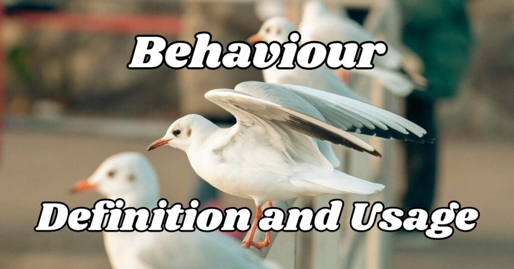 Behaviour Definition and Usage