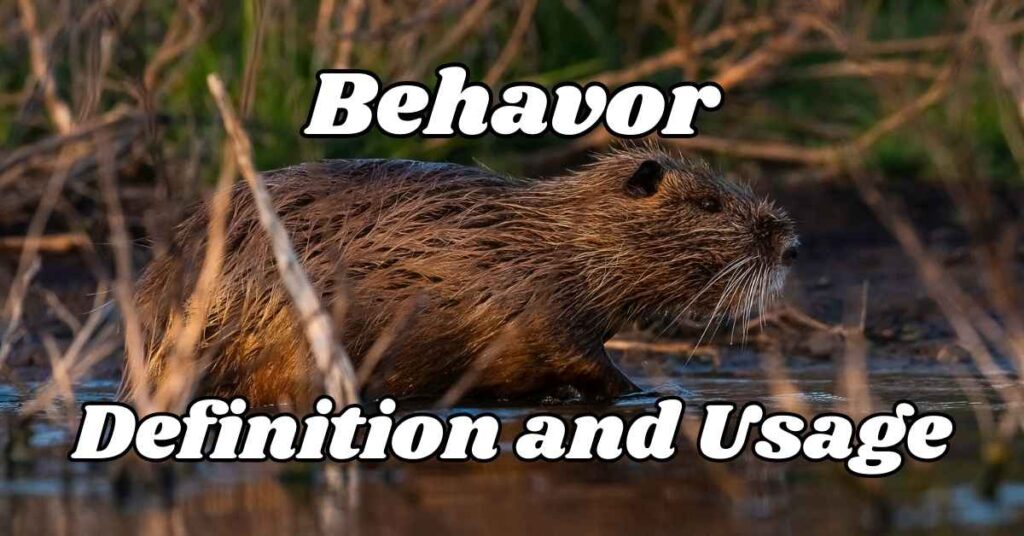 Behavor Definition and Usage