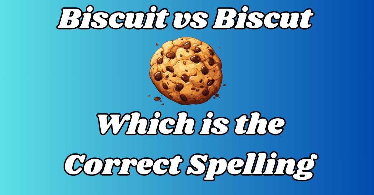 Biscuit vs Biscut