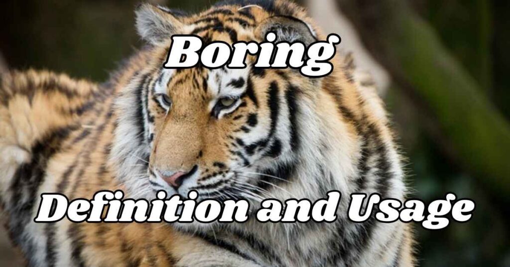 Boring Definition and Usage