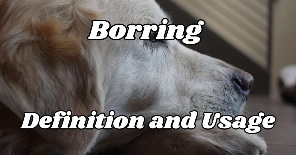 Borring Definition and Usage