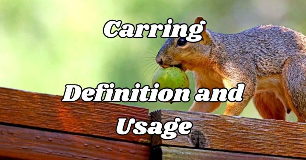 Carring Definition and Usage