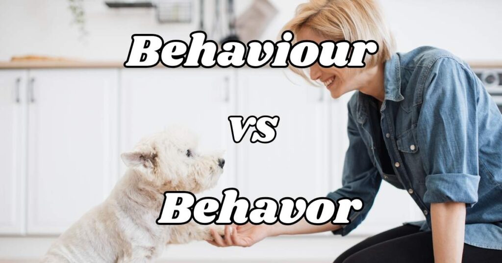 Difference Between Behaviour vs Behavor