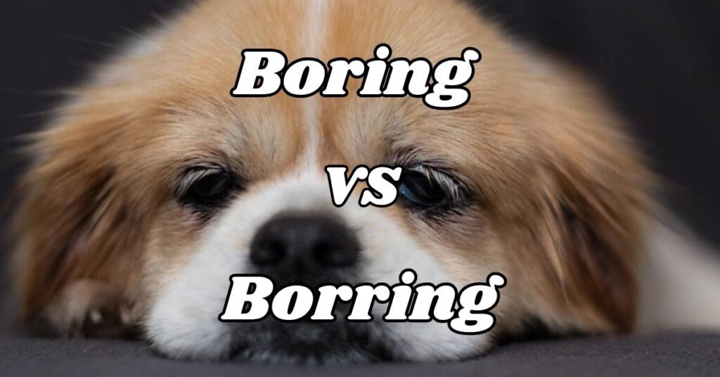 Difference Between Boring vs Borring