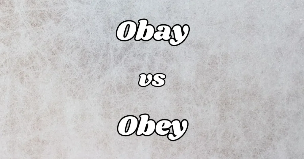 Difference Between Obay vs Obey