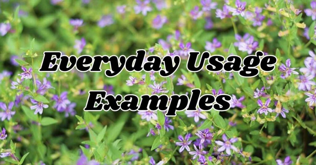 Everyday Usage Examples