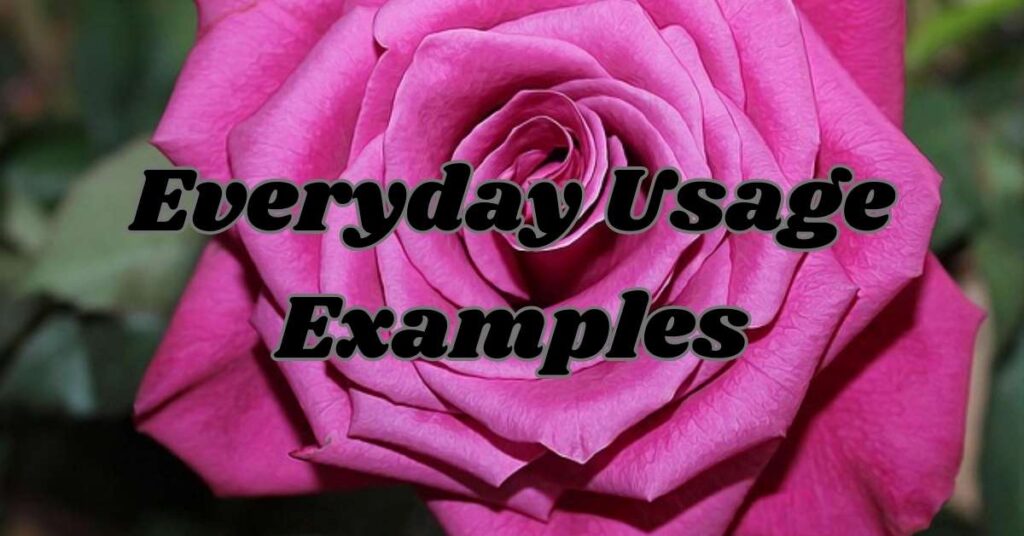 Everyday Usage Examples