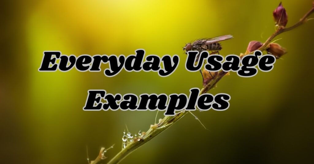 Everyday Usage Examples