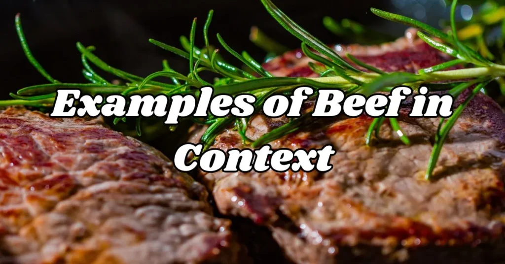 Examples of Beef in Context