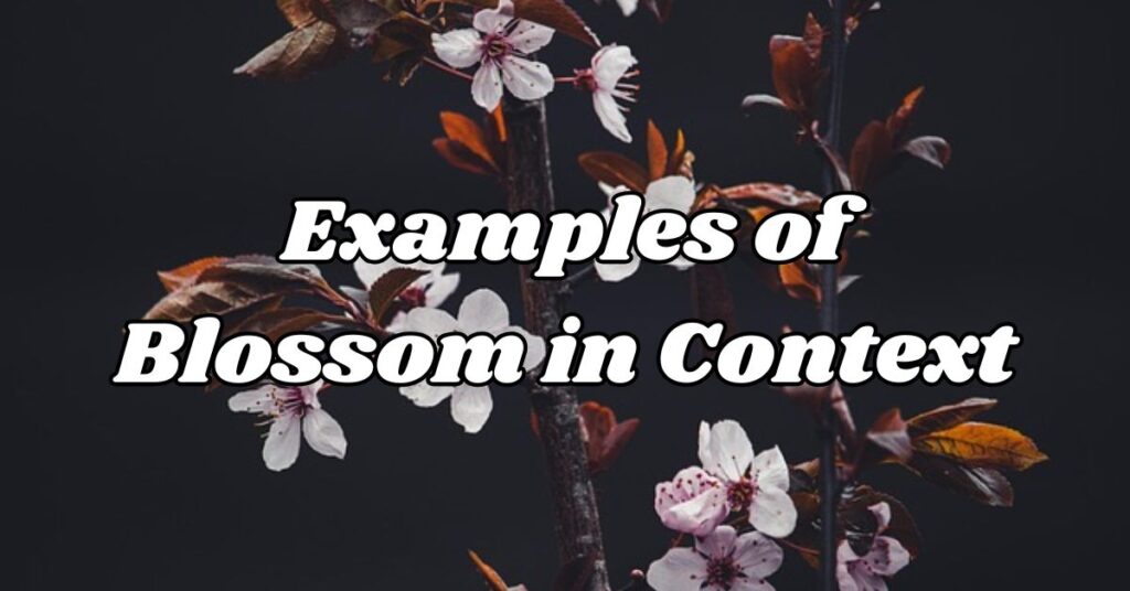 Examples of Blossom  in Context