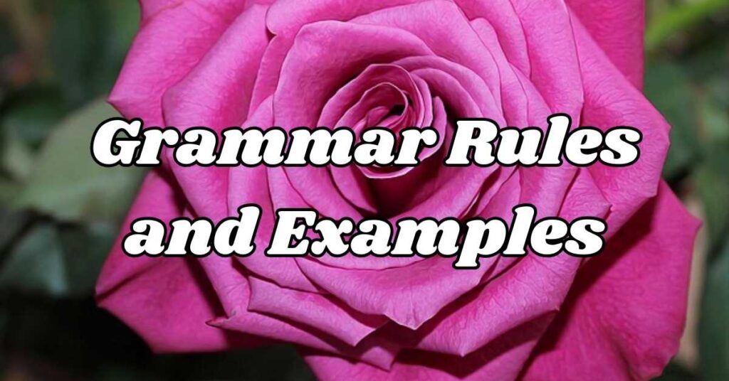 Grammar Rules and Examples