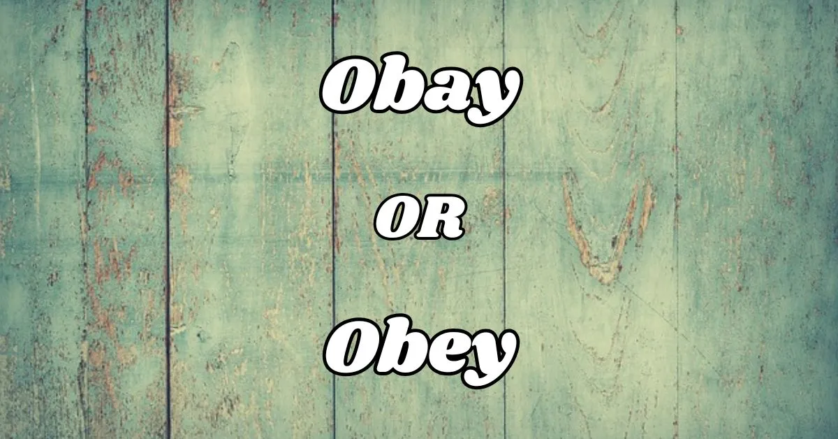 Obay or Obey