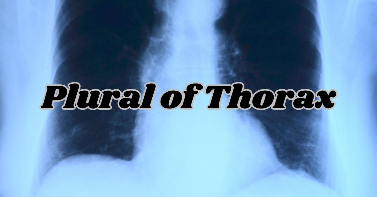 Plural of Thorax