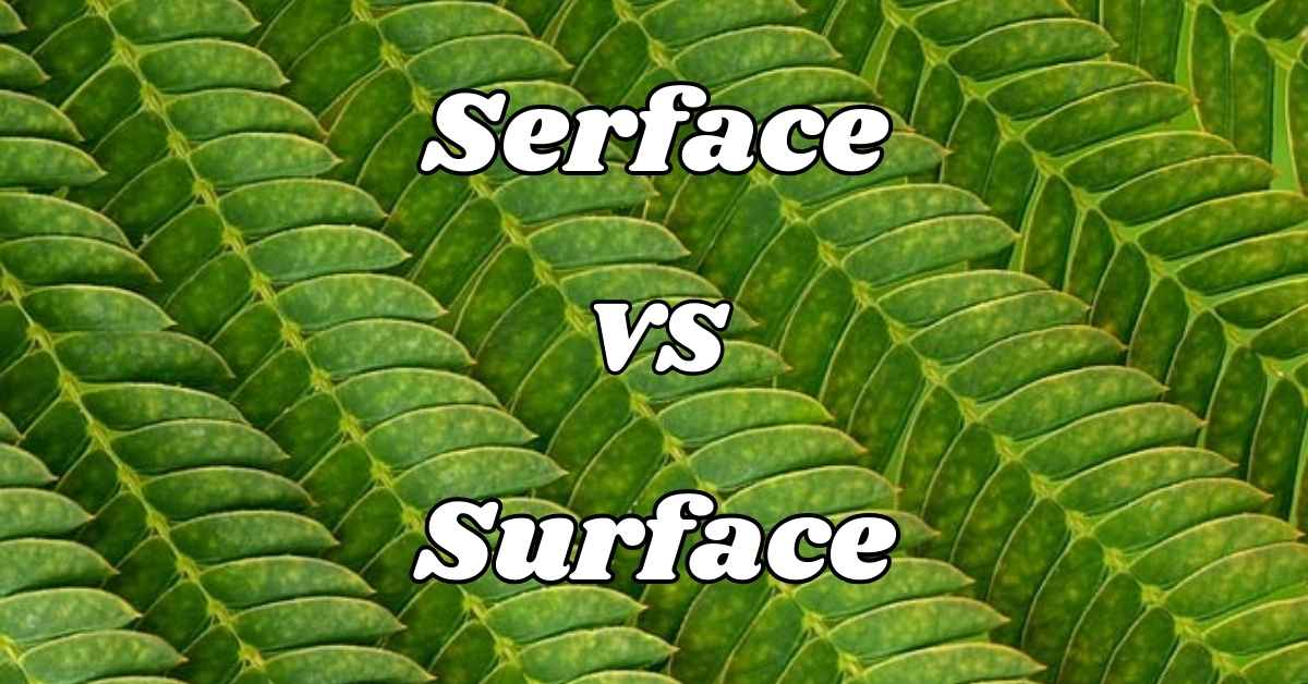 Serface vs Surface