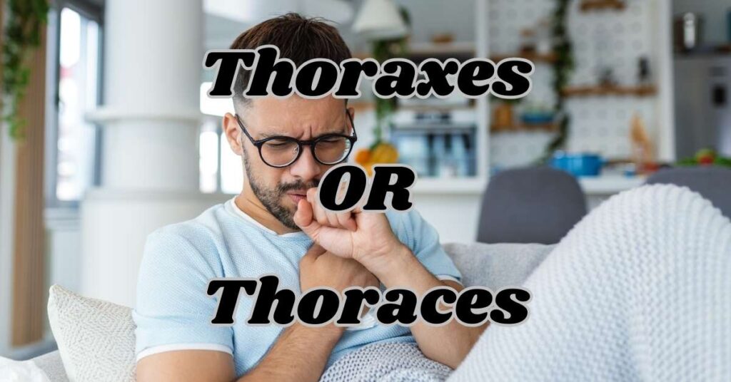 Understanding Thoraxes or Thoraces