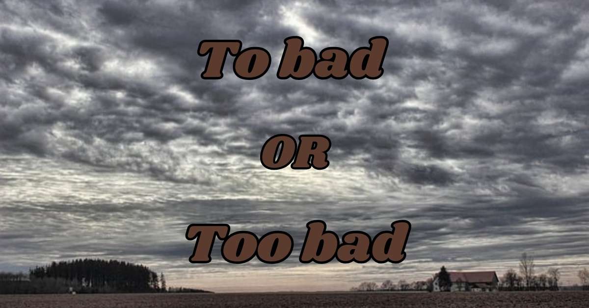 To bad or too bad which one is best to use 