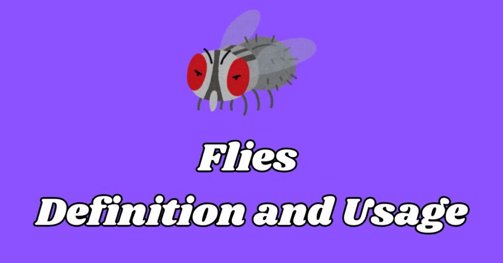 Flies Definition and Usage